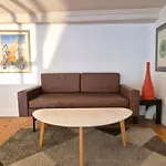 Apartment Centre Historique Le Brinon *