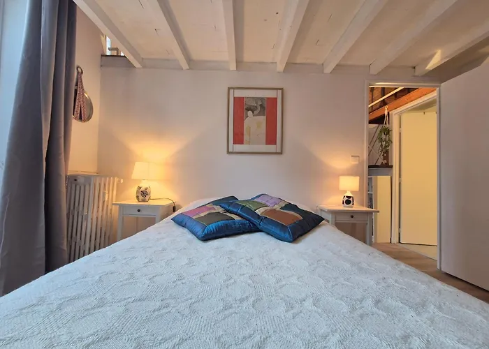 Centre Historique Le Brinon דירה