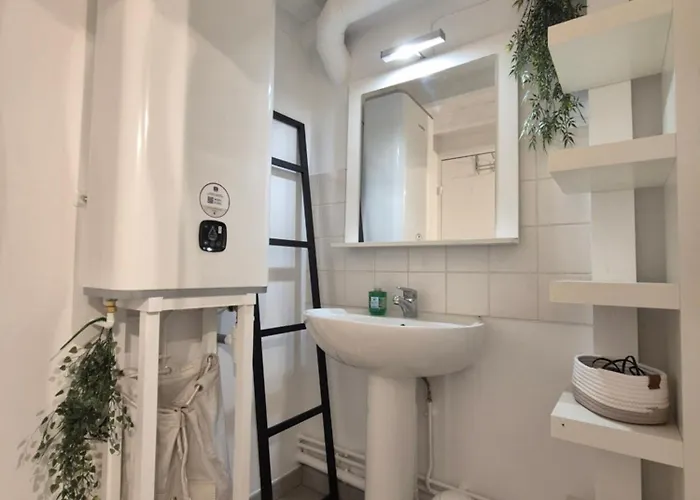 Centre Historique Le Brinon Apartment *