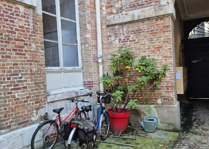 Centre Historique Le Brinon Apartment Rouen