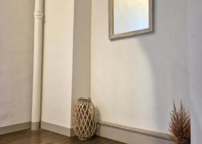 Centre Historique Le Brinon דירה רואן