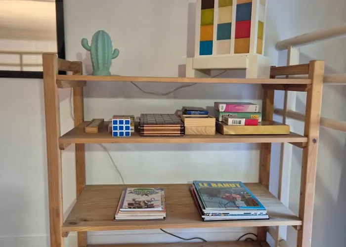 Apartment Centre Historique Le Brinon *